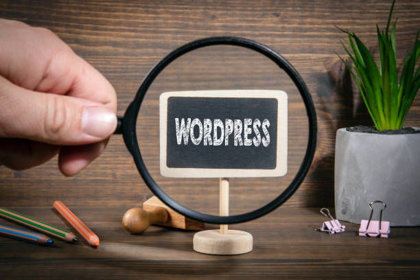Combien de temps faut-il pour créer un site internet sous WordPress ?